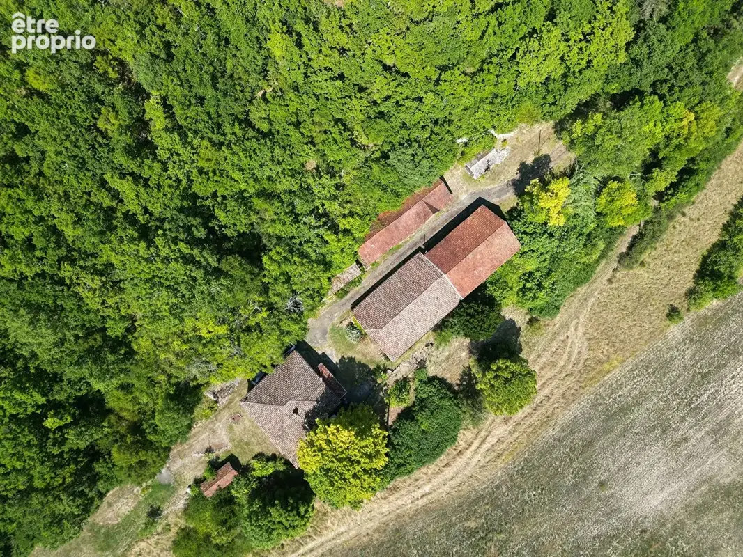 Corps de ferme avec 23 hectares et grange de 200 m² - photo 15