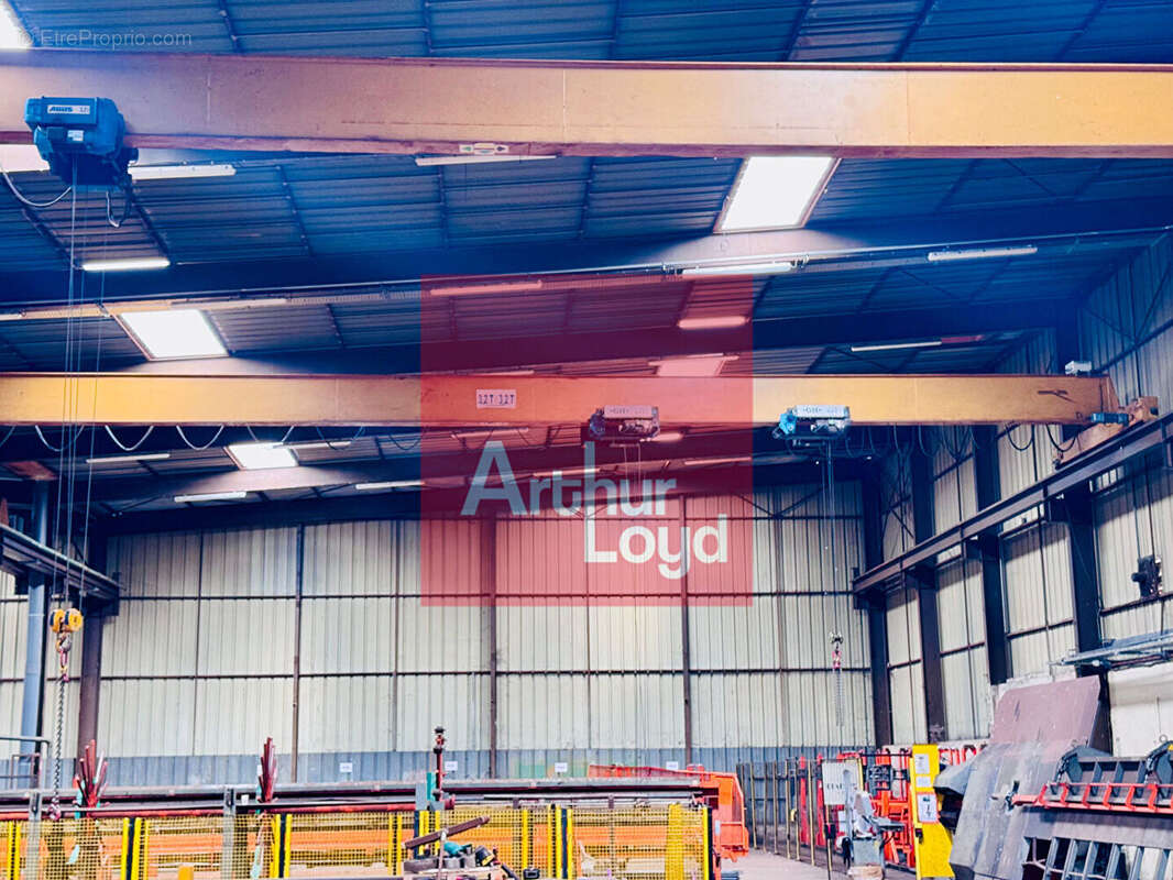 Commerce à CASTELCULIER