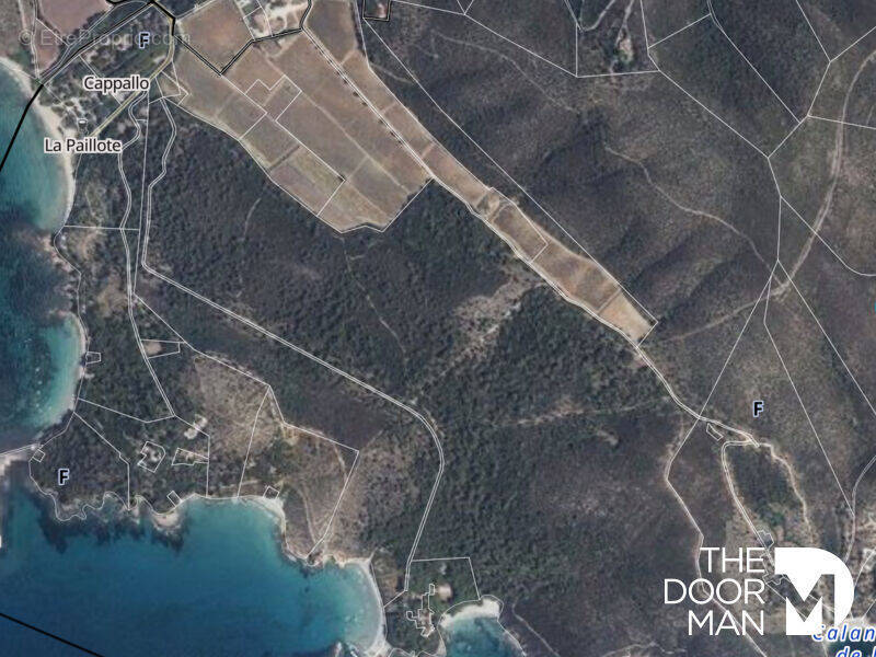 Terrain à BORMES-LES-MIMOSAS