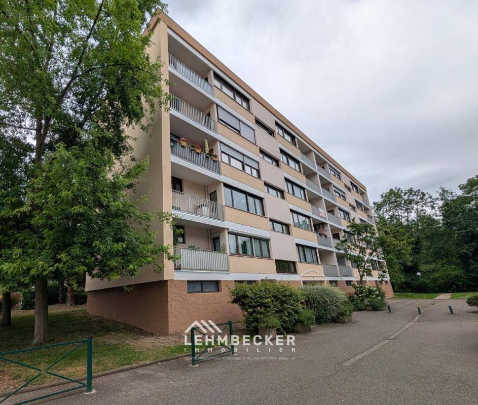 Appartement 2 pièces - 62m² - Balcons/Cave - Illkirch-Graff - photo 1