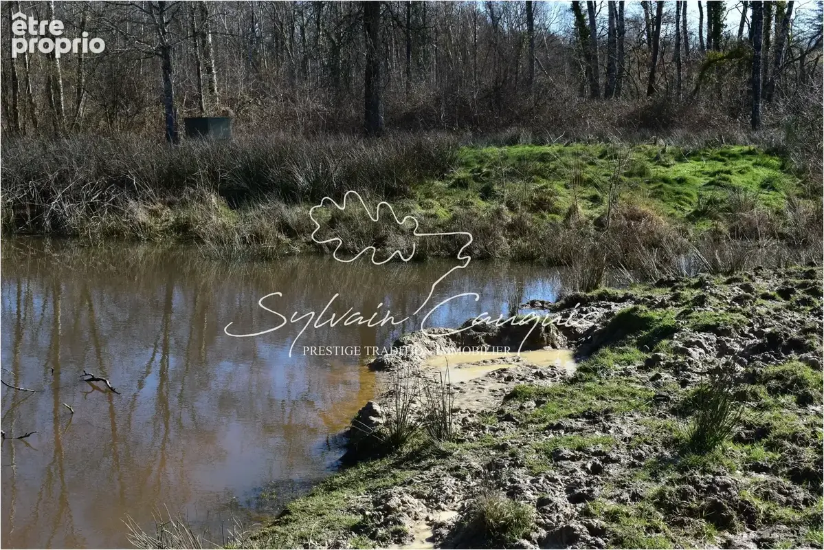 Propriété de Chasse ou d'Agrément de 60 hectares en Sologne - photo 3