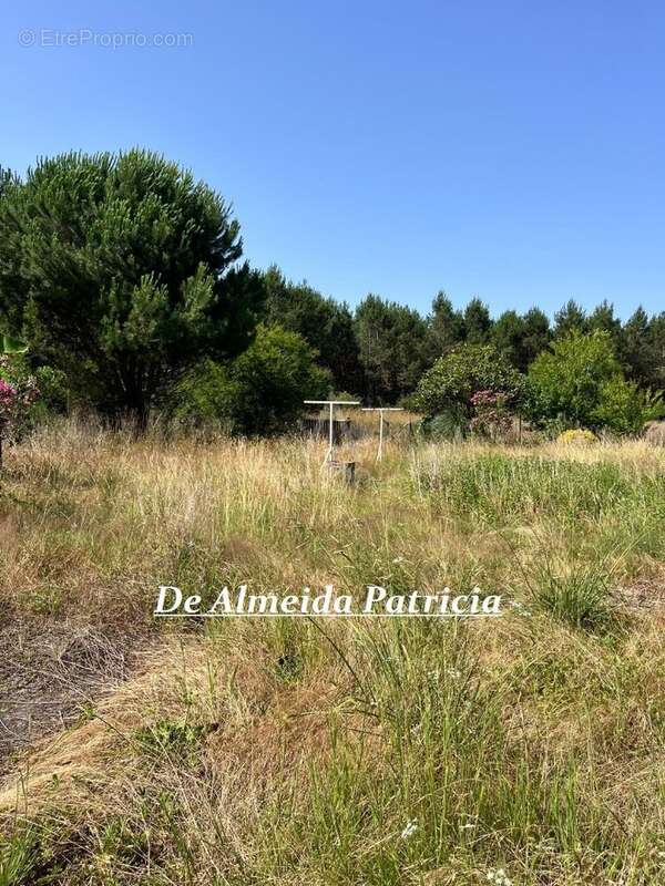 Maison à SAUGNAC-ET-CAMBRAN