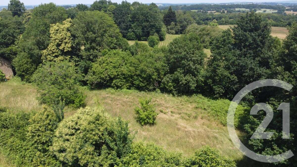 Terrain à VICQ-SUR-BREUILH