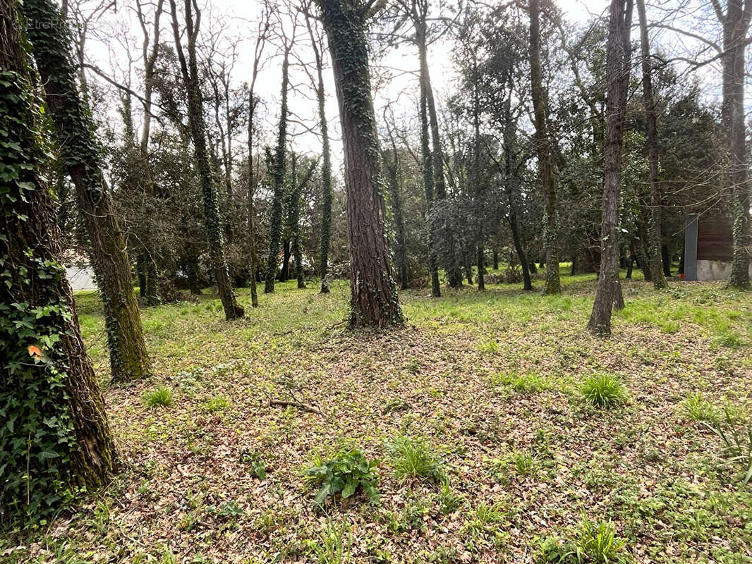 Terrain à MESCHERS-SUR-GIRONDE