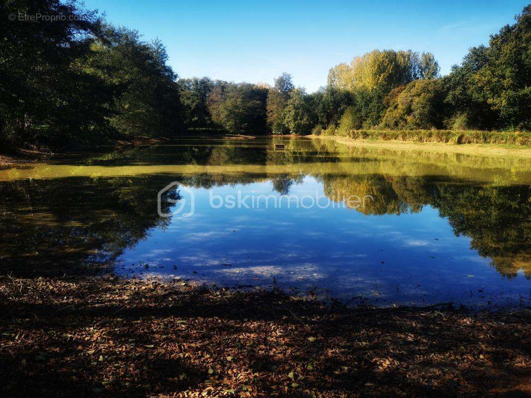 Terrain à SAINT-SAUVEUR-EN-PUISAYE