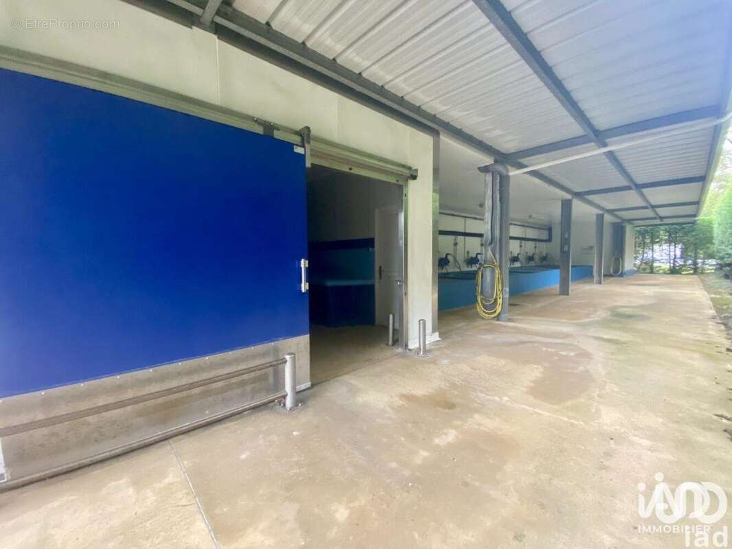 Photo 9 - Commerce à MONTMARTIN-SUR-MER