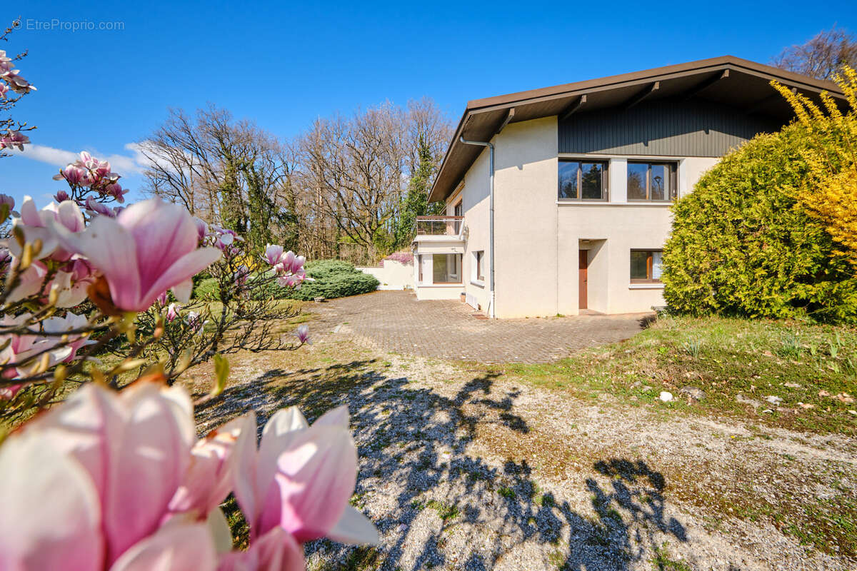 Maison à PRINGY
