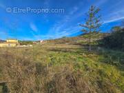 Photo 1 - Terrain à BEDARIEUX