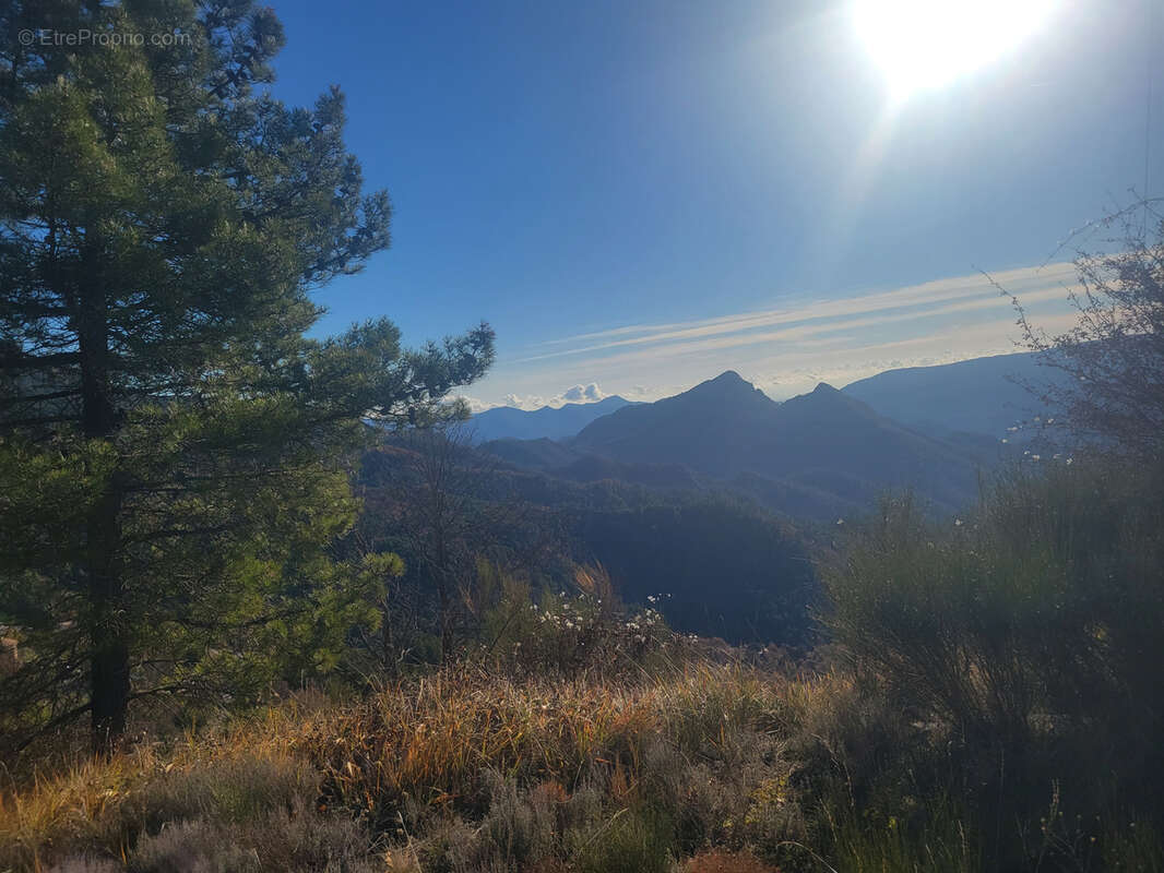 Terrain plat viabilisé, vue dégagèe , Vallée de l'Esteron. - photo 4