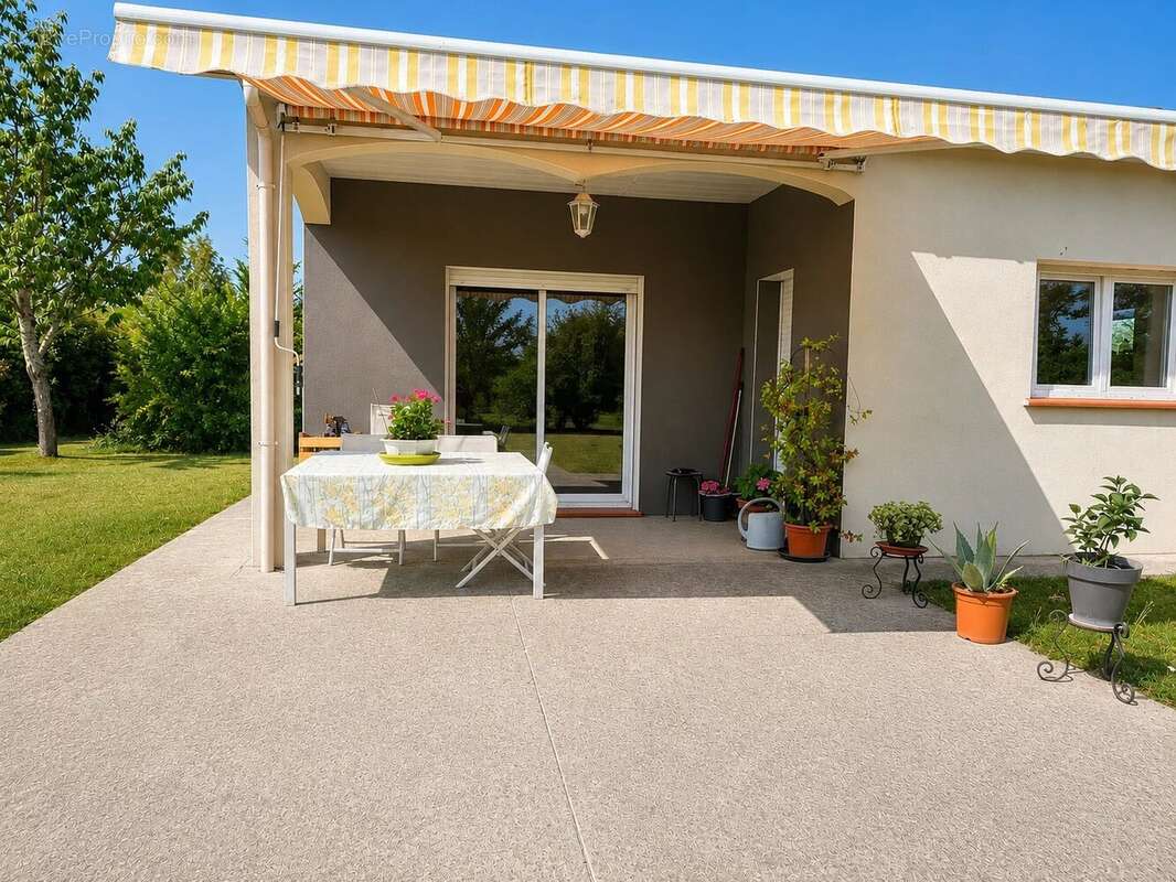 Maison de plain  pied T5 10 m2 sur 2000 m2 de parcelle - photo 5