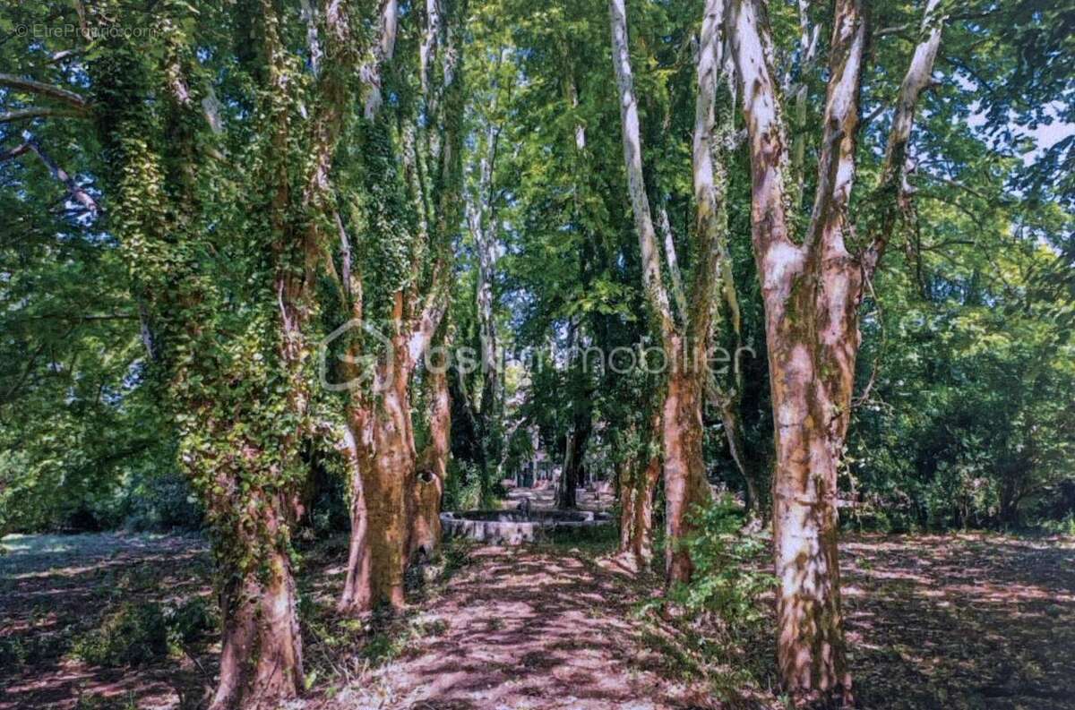 Domaine remarquable – Bastide du XVII siècle à réinventer, entre Aix-en-Provence, Marseille et Cassis - photo 15