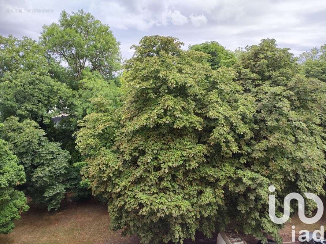 Photo 5 - Appartement à AVON