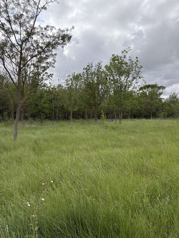 Terrain à FLORENSAC