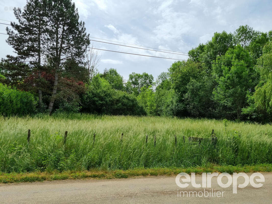 Terrain à SAINT-PERE