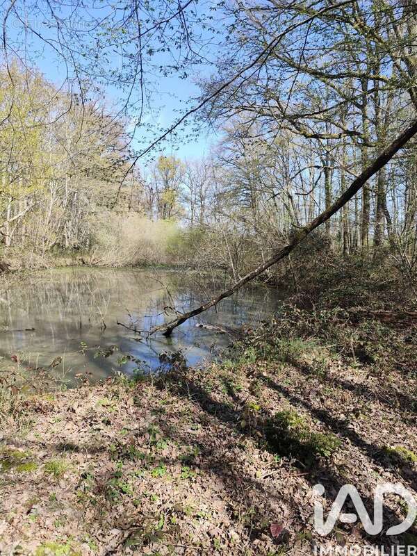 Photo 5 - Terrain à CHAMBEUGLE