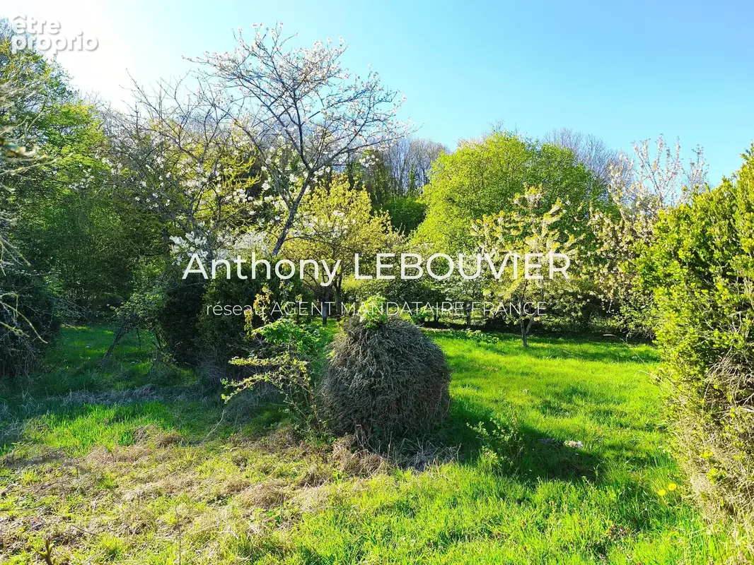 Demeure de maître xixe & sa dépendance habitable – parc de 3 910 m² - photo 19