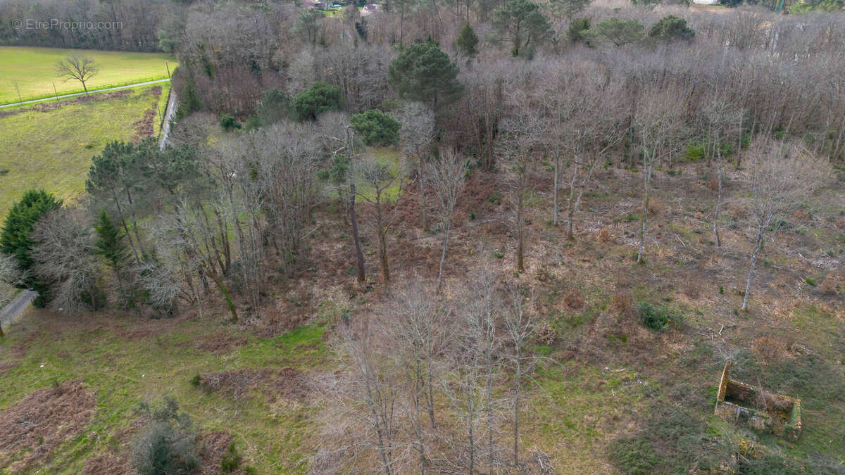Terrain à CARSAC-AILLAC