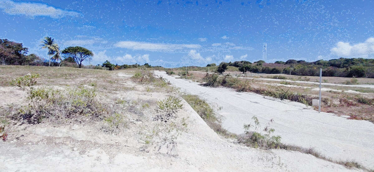 Terrain à PETIT-CANAL
