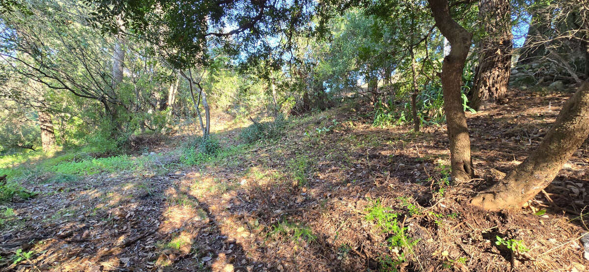 Terrain à SAINT-PAUL