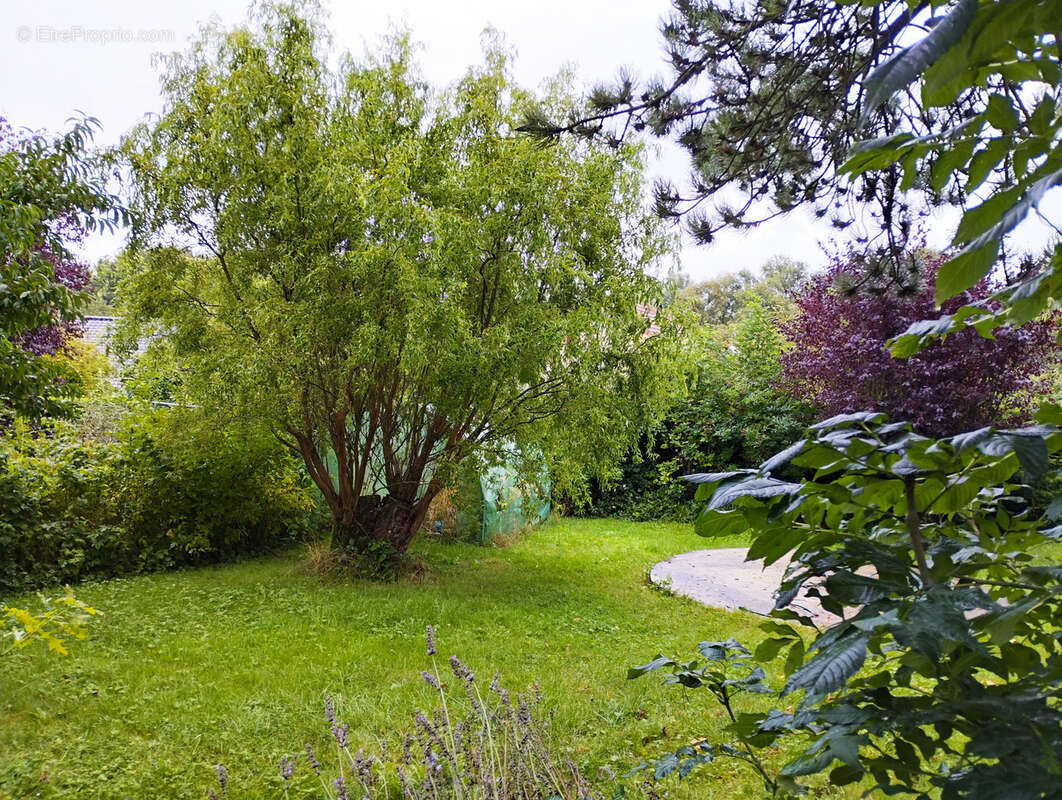 Maison à WIERRE-EFFROY