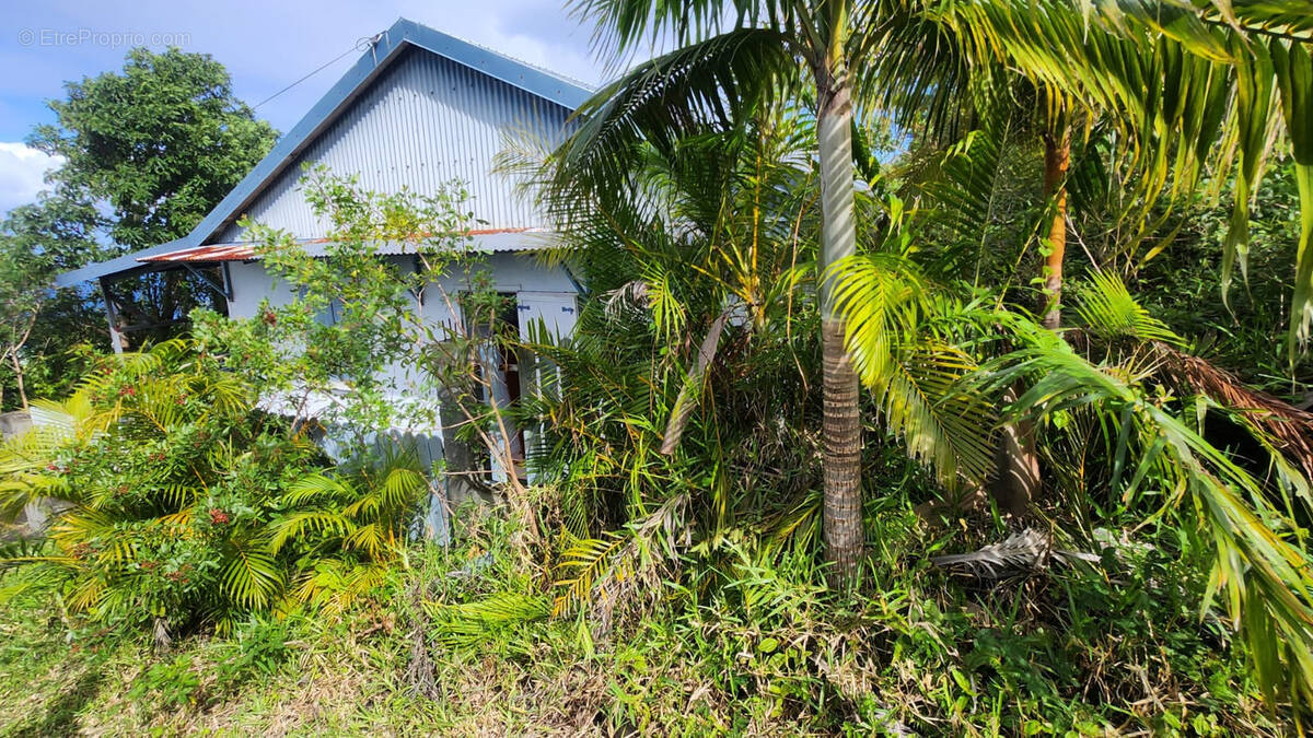 Maison à SAINT-JOSEPH