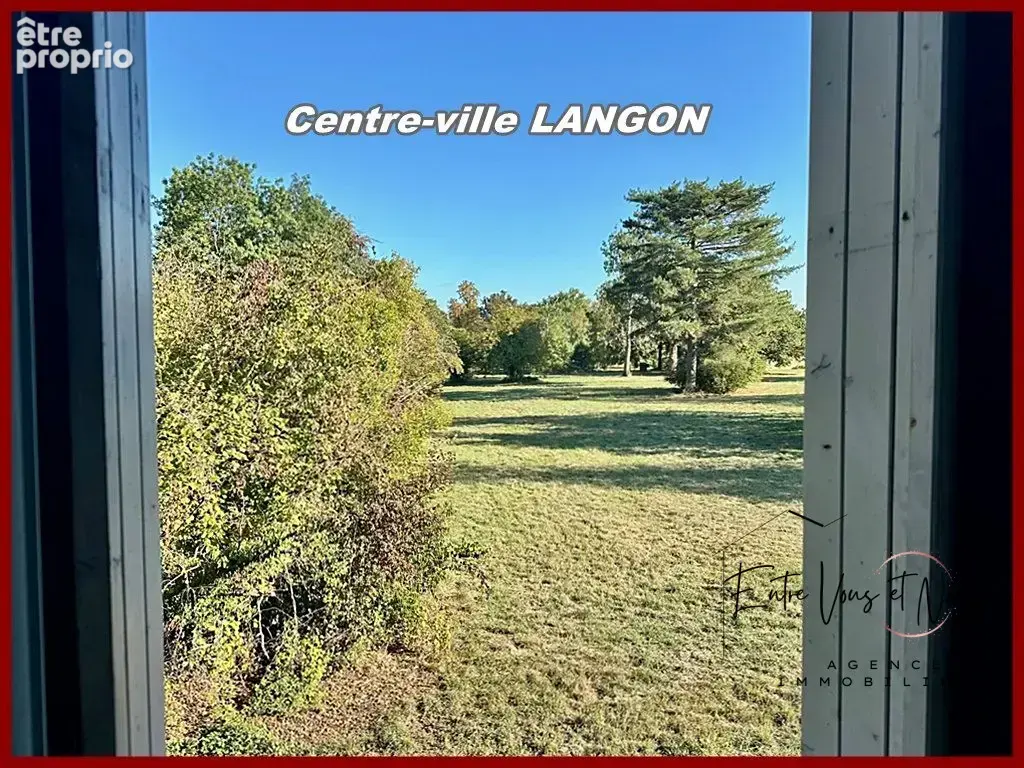 Maison 9 pièces 375 m² à vendre à Langon (33210) - photo 1