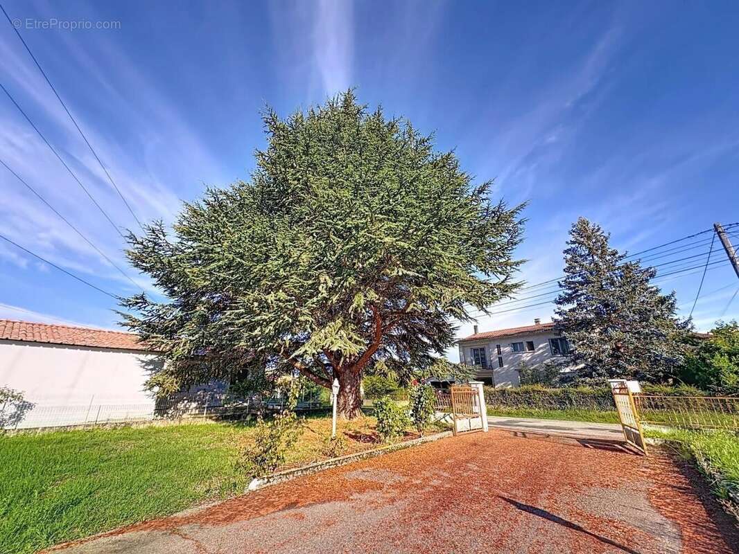 Photo 5 - Maison à LAROQUE-D&#039;OLMES