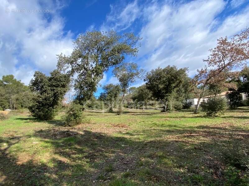 Terrain à UZES