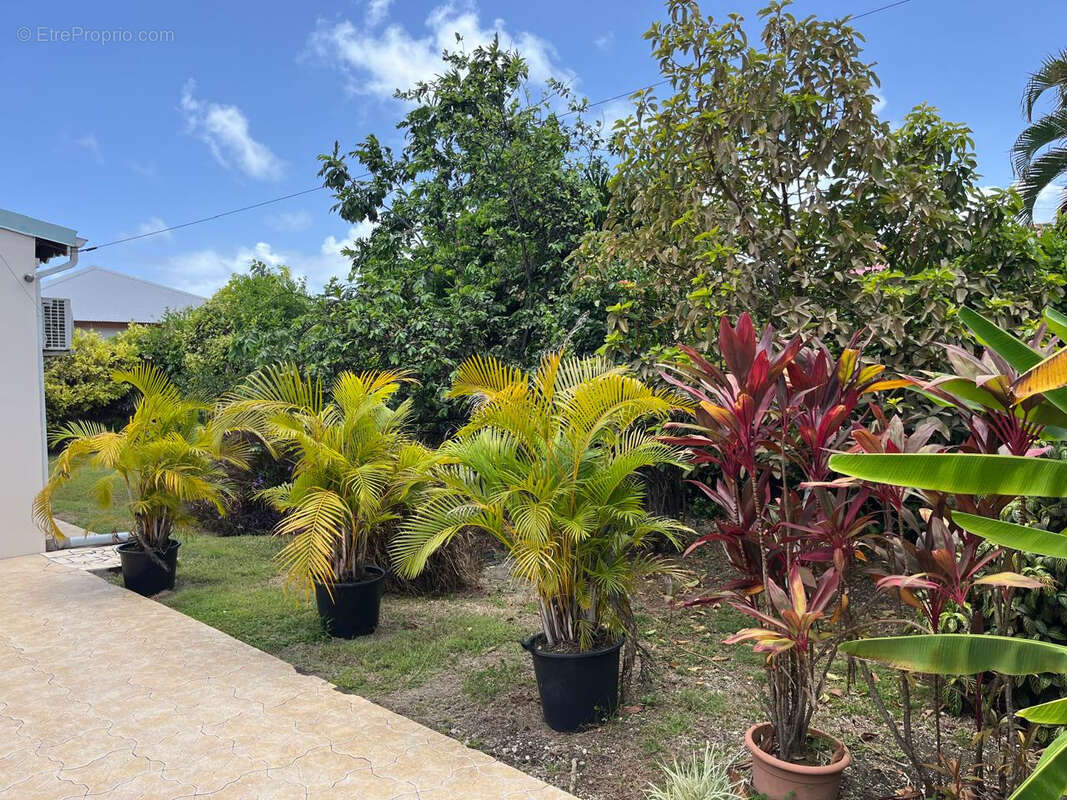 Maison à BAIE-MAHAULT