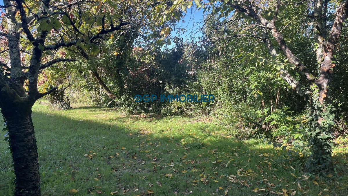 Terrain à VILLEBRUMIER