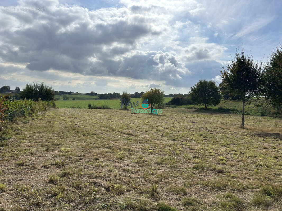 Terrain à SAINT-NICOLAS-DE-LA-TAILLE