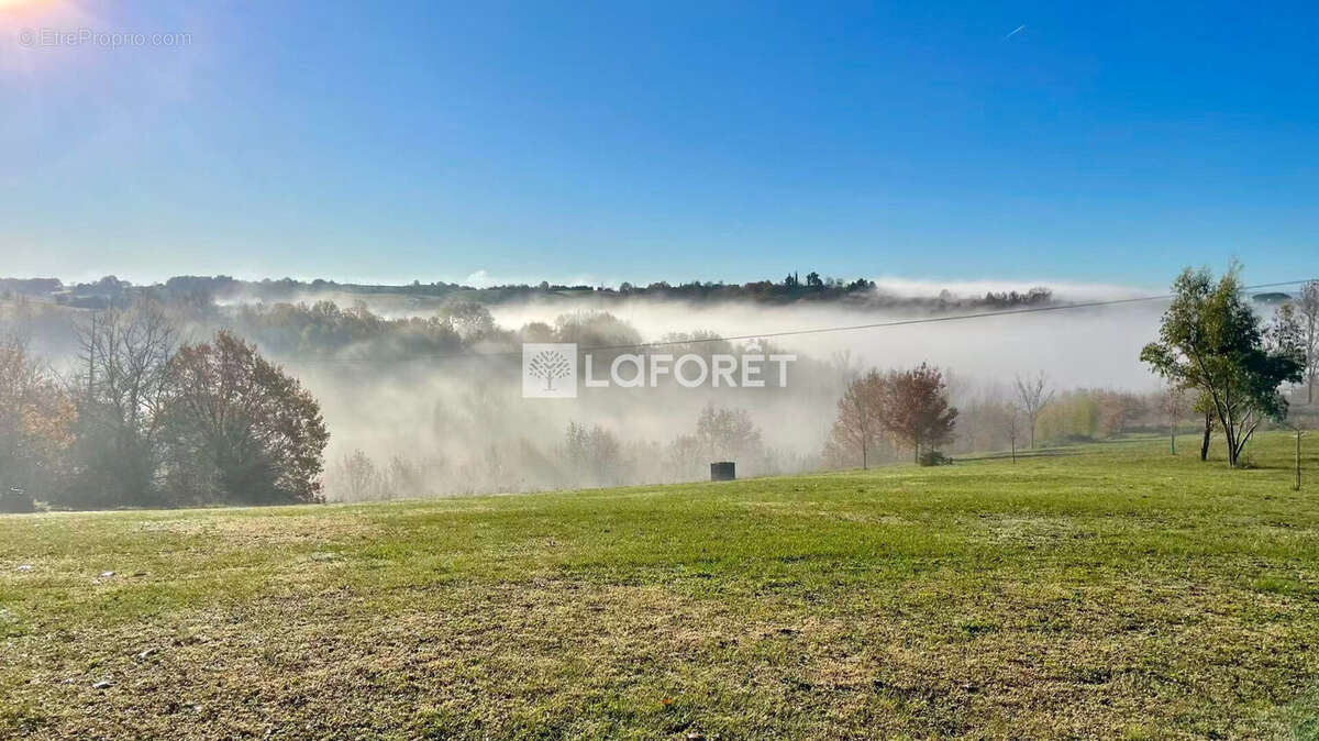 Maison à VILLEMUR-SUR-TARN