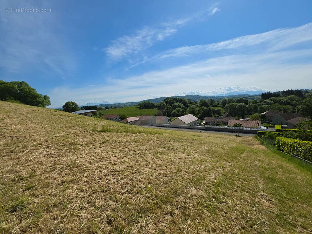 Terrain à BELMONT