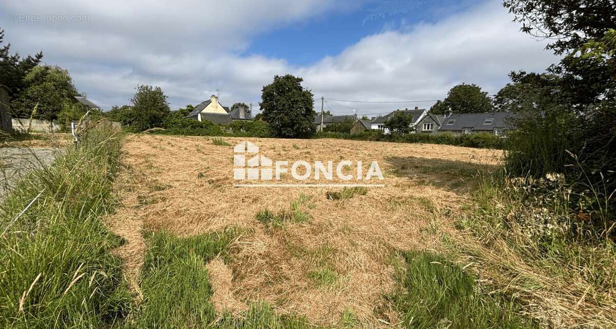 Terrain à LE TRONCHET