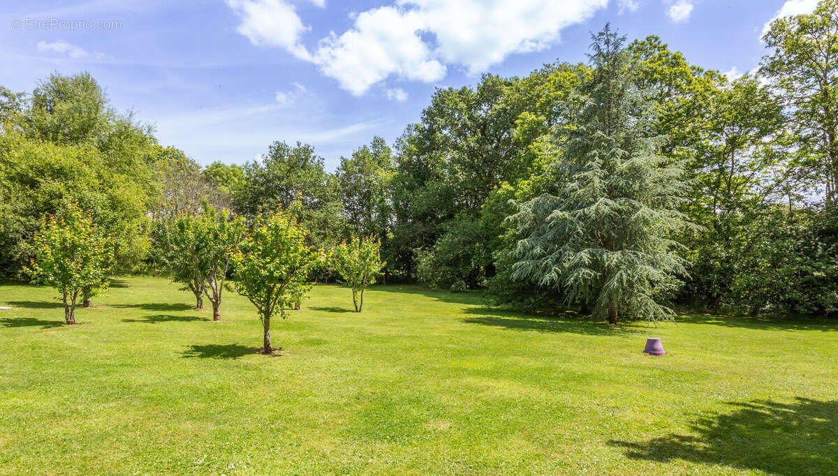 Maison à RIEC-SUR-BELON
