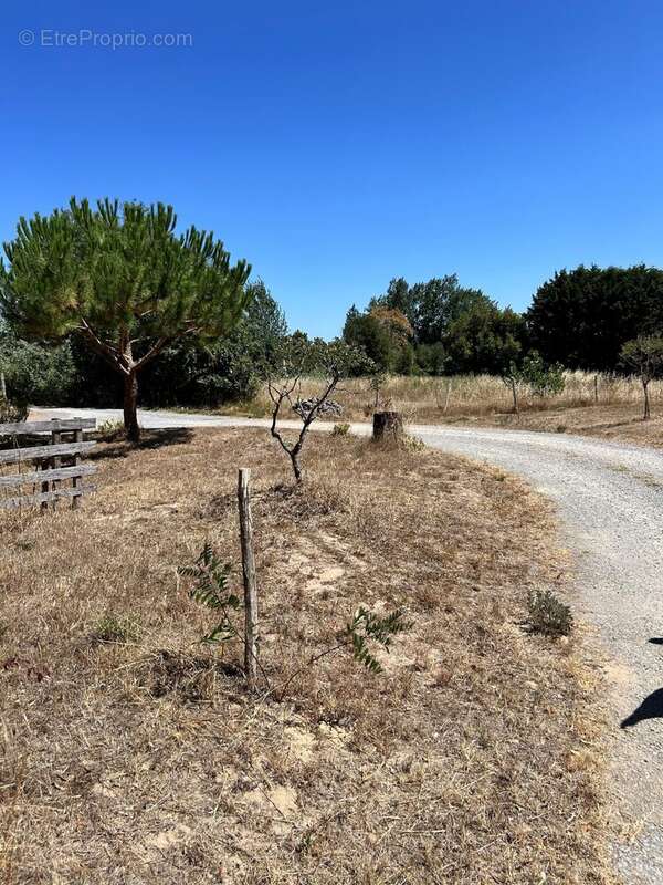 Terrain 650 m² à La Barre-De-Monts  - photo 2