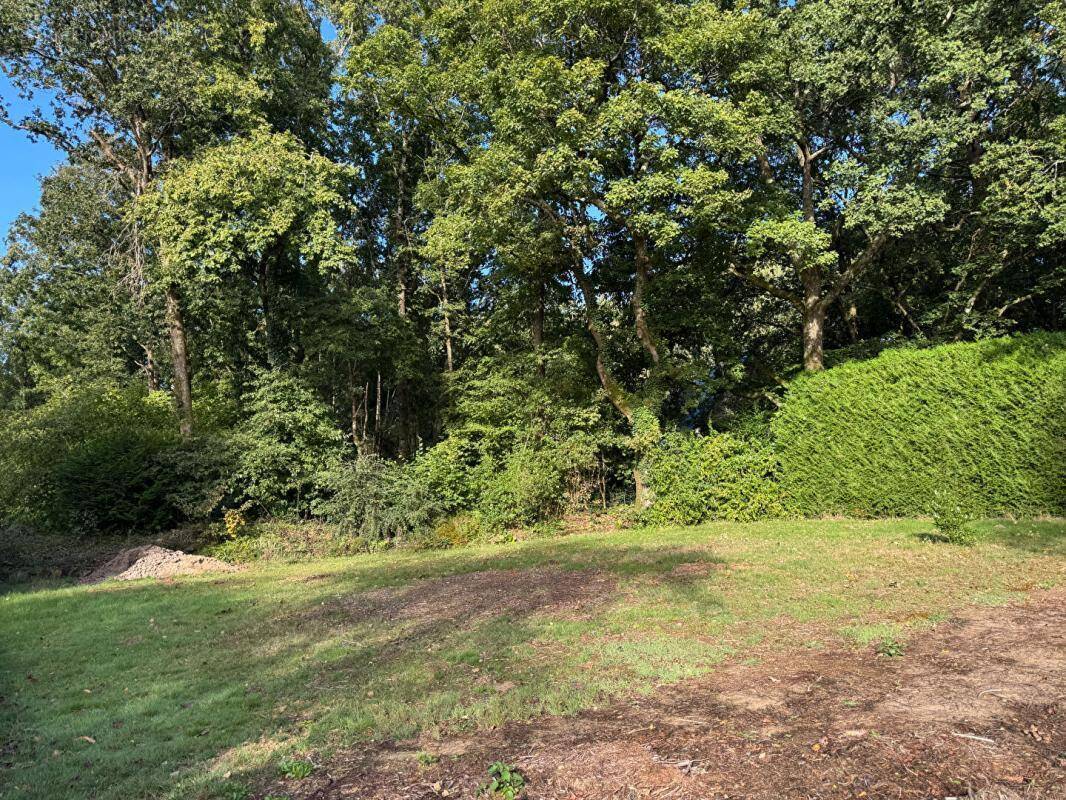 Terrain à SAINTE-ANNE-D&#039;AURAY