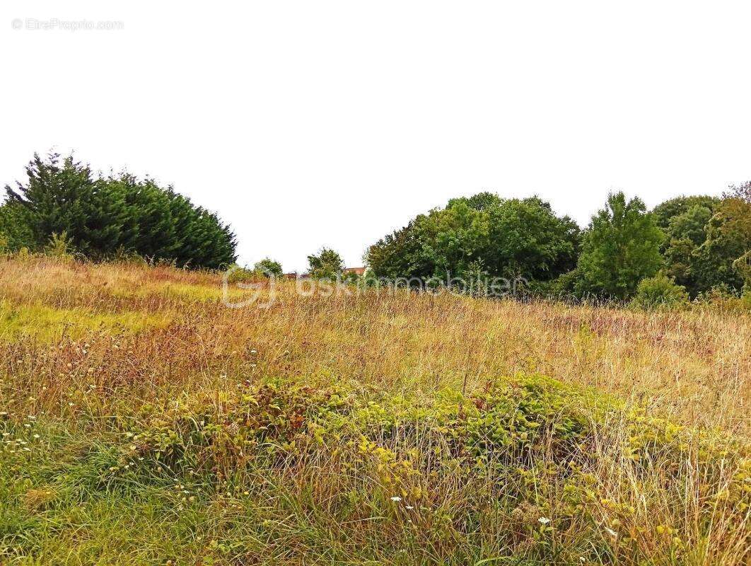 Terrain à SAINTE-GENEVIEVE