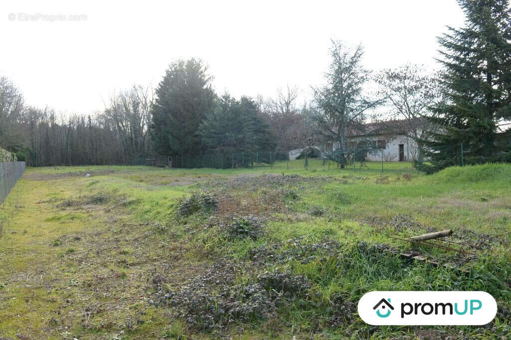 Terrain à SAUTERNES