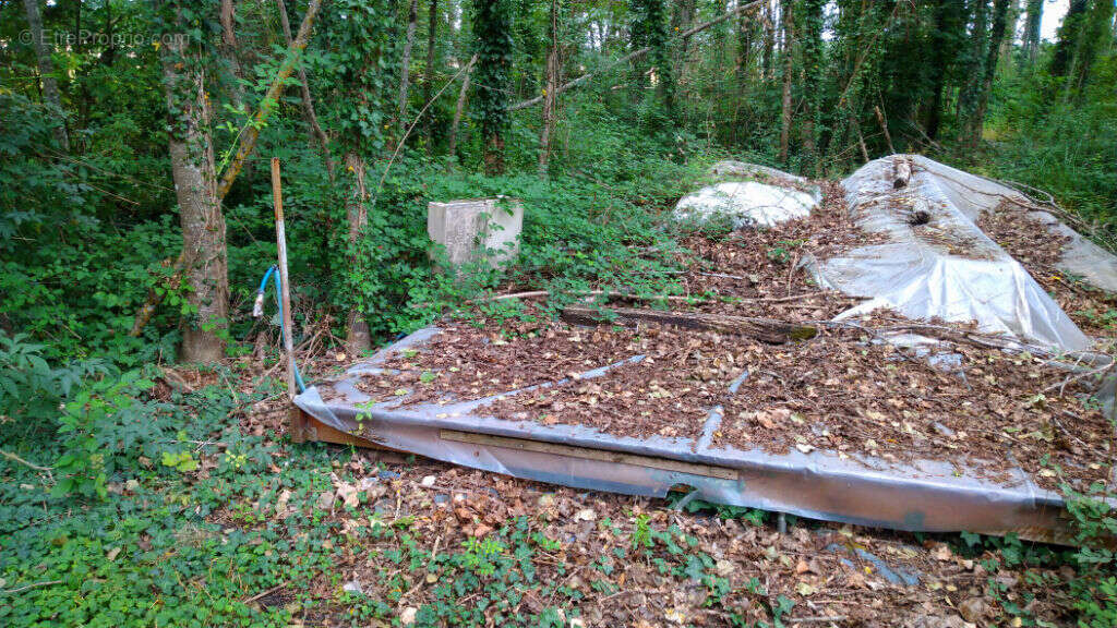 Terrain à COULANGES
