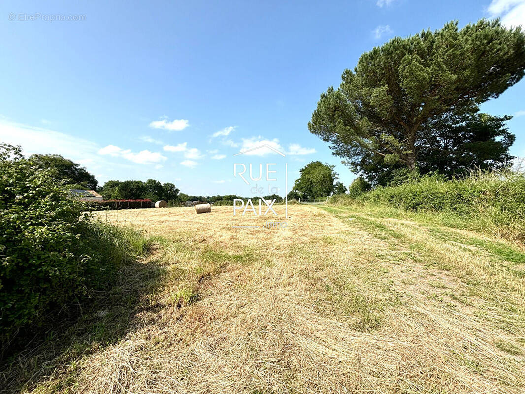 Terrain à LE TALLUD