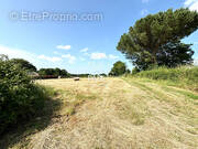 Terrain à LE TALLUD