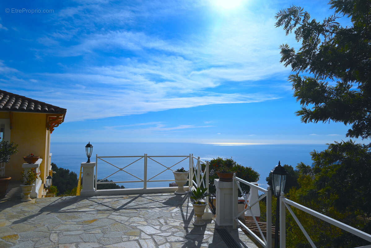 Belle Villa surplombant Monaco - photo 7