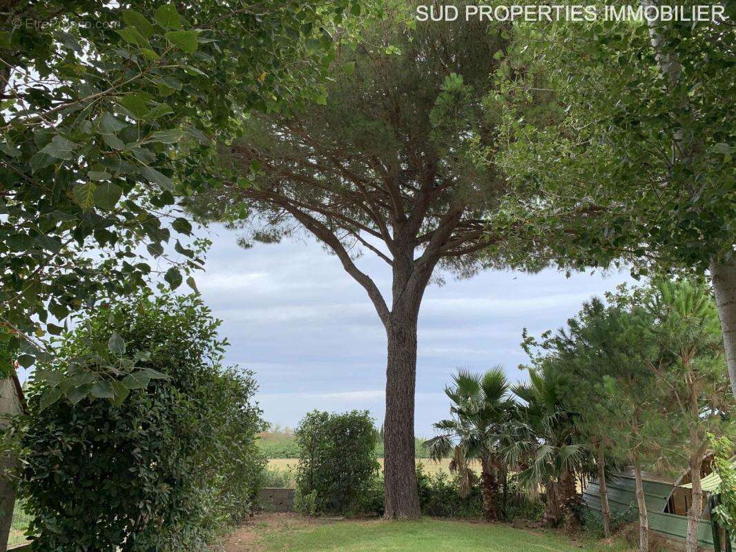 Maison à TORREILLES