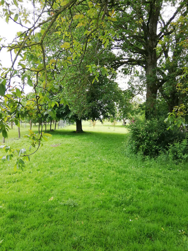 Maison à MARCHENOIR