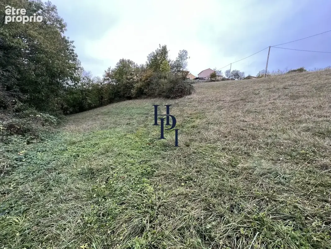 Vente Saint Affrique Terrain à bâtir de 5563m2 . - photo 5