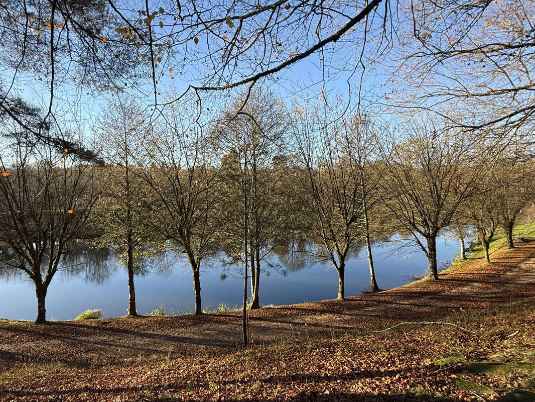 Terrain à SAINT-SORNIN-LAVOLPS