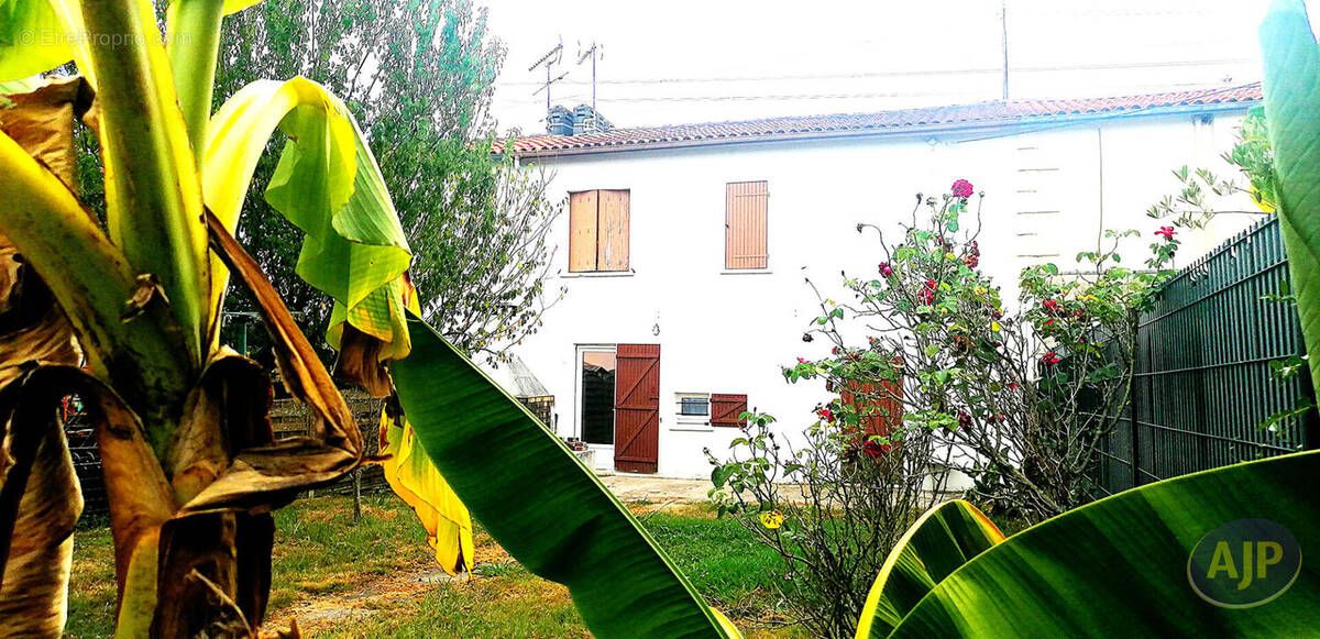 Maison à AMBES