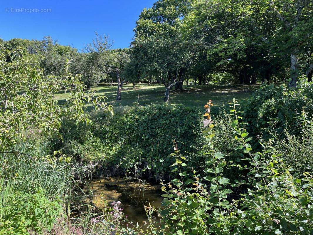 Maison à SAINT-PERDOUX