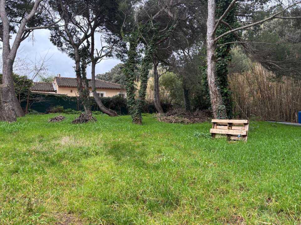 Terrain à SIX-FOURS-LES-PLAGES